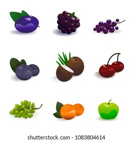 Fruit set vector illustration