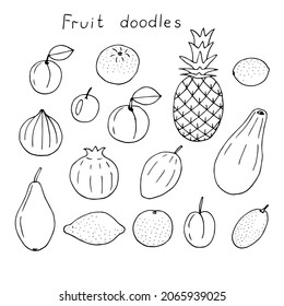 Fruit set vector illustration, hand drawing doodles