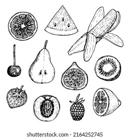 Fruit set vector illustration, hand drawing sketch