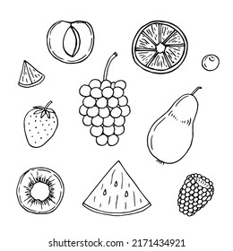 Ilustración vectorial de conjuntos de frutas, doodles de dibujo manual
