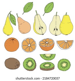 Fruit set vector illustration, hand drawing colored sketch