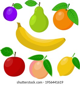 fruit set vector illustration isolated on a white background