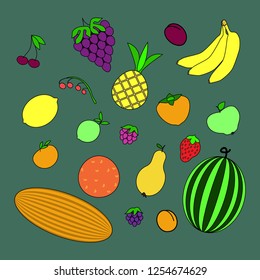 fruit set. vector illustration on green background