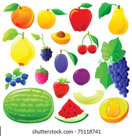 Fruit set without outlines, each in separated layer. Vector illustration.