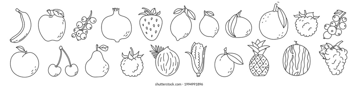 Fruit sketch. Banana, pineapple, pomegranate and cherry. Strawberry, lemon, lime and mandarin. Watermelon, apple and grapes. Black line icon collection. Vector illustration set