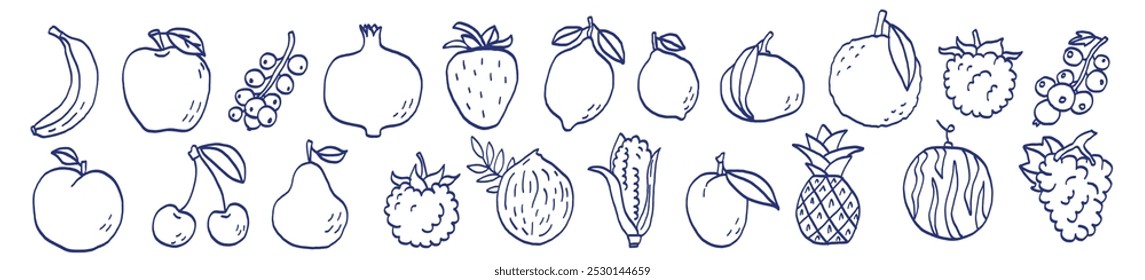 Esboço de fruta. Banana, abacaxi, romã e cereja. Morango, limão, limão e tangerina. Melancia, maçã e uvas. Caneta azul ou desenho marcador. Filhos primitivos. Conjunto de ilustrações vetoriais