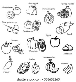 fruit sketch in black doodle drawing free hand vector set on white background
