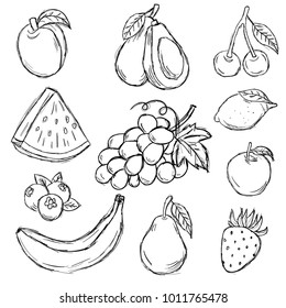 Fruit, sketches, hand drawing, vector set