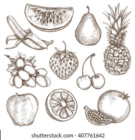 Fruit, Sketches, Hand Drawing, Vector Set