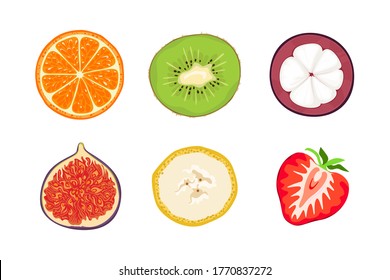 Fruit slices isolated on white. Vector illustration of orange, kiwi, mangosteen, fig, banana and strawberry in cartoon flat style.