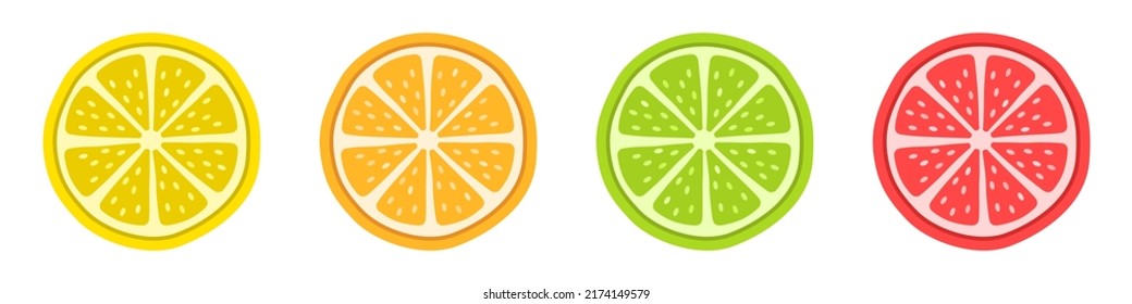 Fruit slices. Pieces of citrus. Lemon, orange, lime and grapefruit. Vector illustration