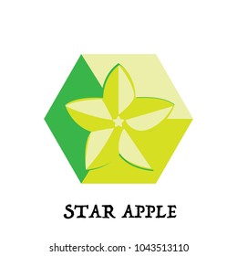 fruit star apple graphic element design key visual icon symbol 