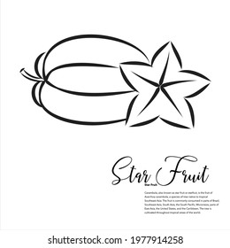Fruit, Starfruit vector line art illustration