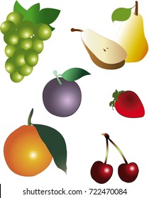 fruit stock vector