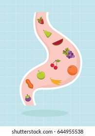 Fruit in the stomach ector design ,healthy concept ,Vector illustration