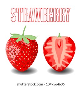 Fruit Strawberry and Cross Section Realistic Vector Illustration / Tropical, Fresh, Red, 3D, Natural