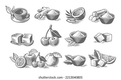 Fruit and sugar. Set of matcha tea with spices sketch