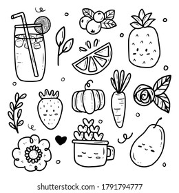 Fruit summer Icon collection set sticker vector