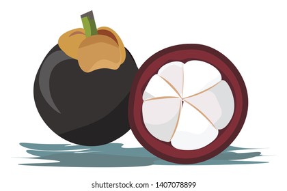 A fruit with sweet, juicy, white flesh inside, a reddish brown rind, vector, color drawing or illustration. 