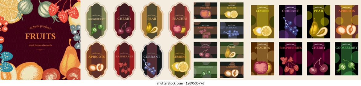 Fruit template, labels collection hand drawn 