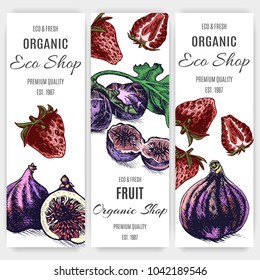 Fruit template for organic store with Fig and strawberry.