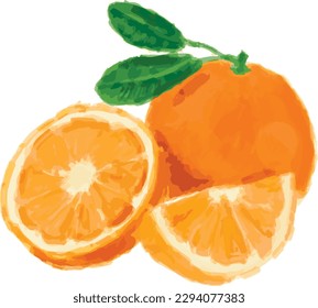 The Fruit that people all over the world enjoy eating.