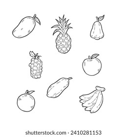 Fruit Theme Hand Drawn Illustration. Mango, Pineapple, Guava, Grape, Orange, Apple, Papaya, Banana.