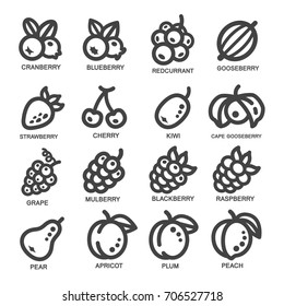 fruit thin line icon set,vector illustration