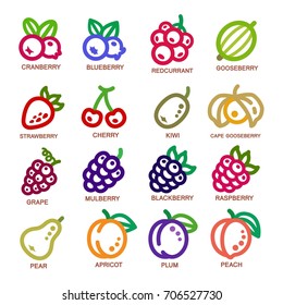 fruit thin line icon set,vector illustration