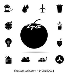 Fruit, tomato, vegetable icon. Universal set of ecology for website design and development, app development