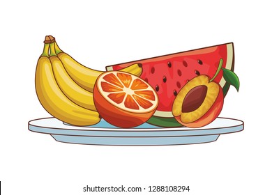 fruit tray icon