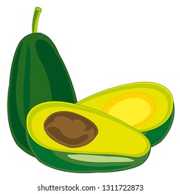 Fruit tree avocado on white background is insulated