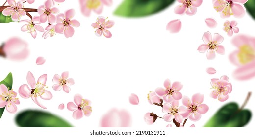 Fruit tree branch frame with white flowers realistic vector illustration