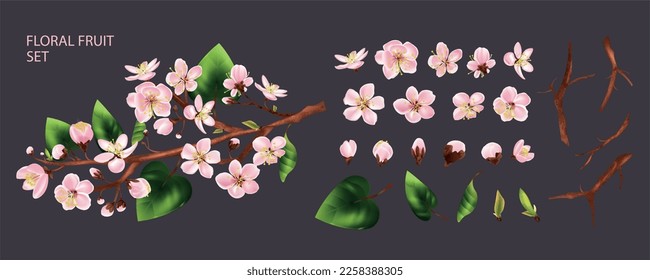 Fruit tree branch set with white flowers realistic isolated vector illustration