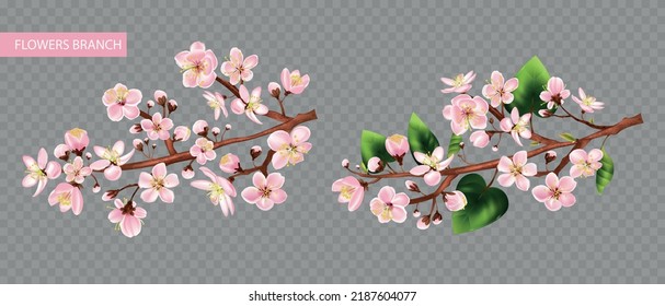 Fruit tree branch transparent set with flowers realistic isolated vector illustration