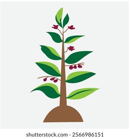 fruit tree. Growth of plant, from sprout to fruit. Planting tree. Seedling gardening plant. Apple tree. Vector illustration in flat style