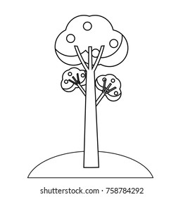 fruit tree icon over white background vector illustration