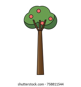 fruit tree icon over white background colorful design vector illustration