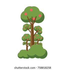 fruit tree icon over white background colorful design vector illustration