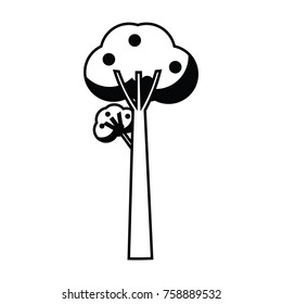 fruit tree icon over white background vector illustration