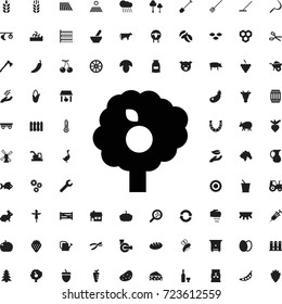 Fruit tree icon. set of filled agriculture icons.