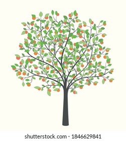 Fruit tree with leaves and fruit on a light background