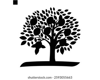 Fruit Tree Lemon Tree. Lemon Tree Branch Isolated on White Background.
