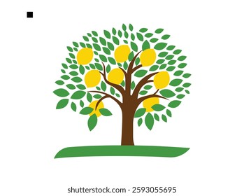 Fruit Tree Lemon Tree. Lemon Tree Branch Isolated on White Background.

