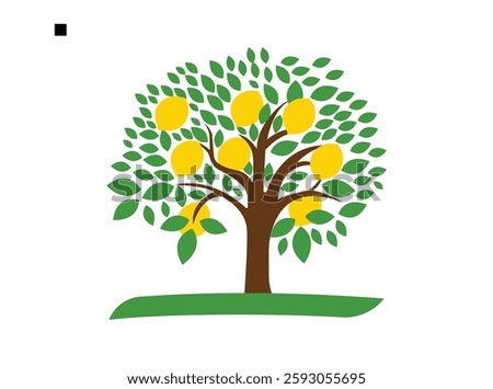 Fruit Tree Lemon Tree. Lemon Tree Branch Isolated on White Background.
