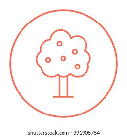 Fruit tree line icon.