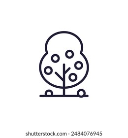 fruit tree line icon on white