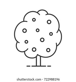 Fruit tree linear icon. Thin line illustration. Contour symbol. Vector isolated outline drawing