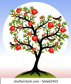 Fruit tree. Pomegranate tree with fruits and flowers. Birds on the tree. Vector illustration.
