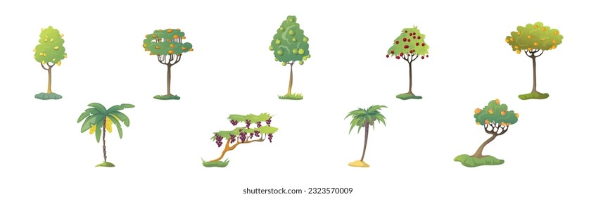 Fruit Tree with Ripe and Mature Crop Hanging Vector Set